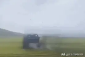 开越野车在呼伦贝尔草原上玩漂移？当地林草局：种回去图片