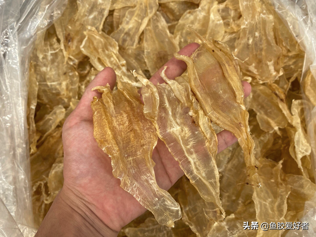 北海筒鱼胶与北海鱼胶 2026年北海筒鱼胶与北海鱼胶的区别