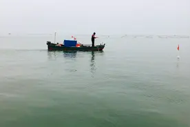 造价30万的渔船，出海一天，能赚多少钱？图片