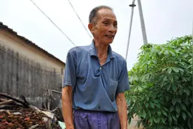 养猪是一部富豪的生产史：第一个万元户，43人过亿，2千亿首富图片