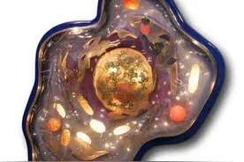 最怀才不遇的生物物理学家，发现全新生命种类，创立另类生命之树图片