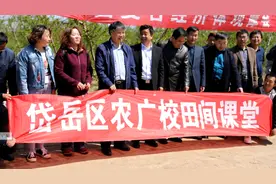 泰安：农大博士“组团”养蚂蚱 循环生态农业助力增收图片