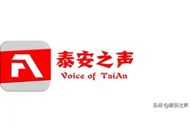 泰安高新区稳步推进“小店经济”“夜间经济”发展图片