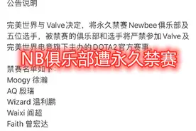 集体打假赛？NewBee俱乐部与5名选手，遭到永久禁赛图片