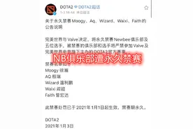 集体打假赛？NewBee俱乐部与5名选手，遭到永久禁赛图片