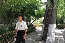 大明湖树洞里藏有“武功秘籍”，太极爱好者一年四季在此练习图片