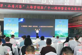 一江春水向东流 唯有川茶源头来 ——峨眉山茶·峨眉雪芽全民品鉴会在上海隆重举行图片