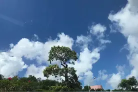 白云PK乌云……图片