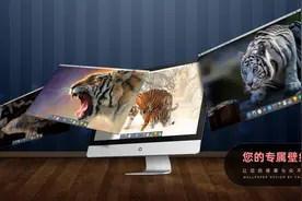 桌面壁纸 | 我是猫，一只温柔的大猫图片
