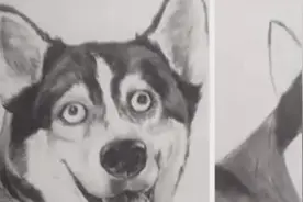 美术生画到一半懒得画了，成品如大型“翻车现场”，网友笑出鹅叫图片