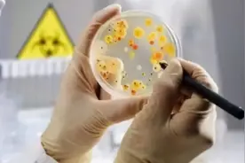 怪异蠕虫入侵美国！15个州已“沦陷”，破坏性极强科学家担心图片