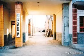前陕西首富的“赌”局：种瓜得瓜，种豆得豆图片