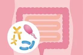 4家菌群检测公司：让个性化肠道保健变得简单图片