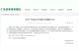 惠州唯一！博罗横河上榜广东省乡村民宿示范镇图片