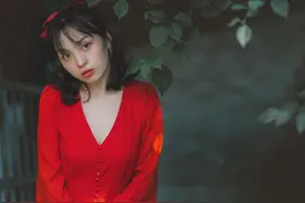 壁纸 丨自由行走的花图片