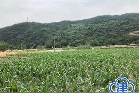 四川江油黑熊连续咬死三人详细情节曝光 事发地距离村子仅百米图片