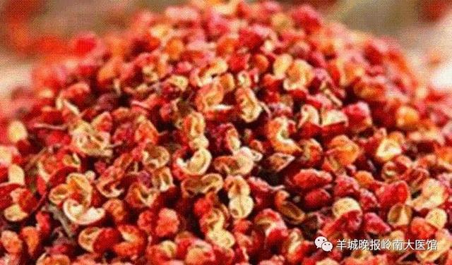 花胶和什么泡脚最好 2026年花胶和什么泡脚最好养生