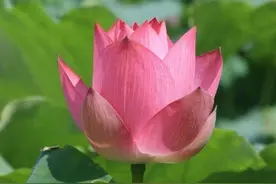 老话：“门前开方塘，儿孙享辉煌”，是什么意思？图片