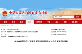 农村部：狗拟不列入国家畜禽遗传资源目录，专家称狗肉或将被禁食图片