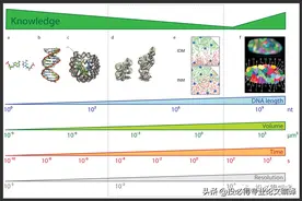 高分SCI论文的源头，good idea哪里来？图片
