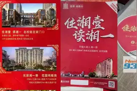 买房送学位？长沙恒泰湘壹府开发商被查处图片