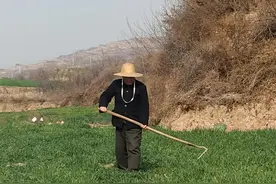 《回乡偶书》现代版图片