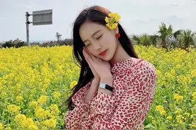 落花流水春去也，换了人间图片