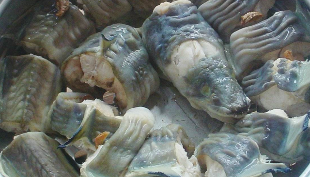 海鳗鱼的做法大全 2026年海鳗鱼的做法大全图解