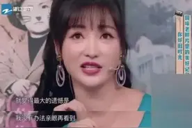 被男星“咸猪手”却反被封杀，柳岩怕了:胸大有罪图片
