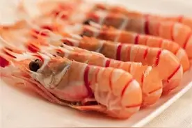 8种世界名虾的特点与经典吃法图片