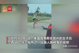 “莽娃儿”女子偶遇鳄鱼用脚去踢 鳄鱼不怕拿嘴还击图片