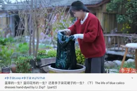 YouTube上的中国网红：不说一句话，年入几千万图片