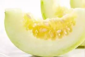 小香瓜种植技术与管理图片