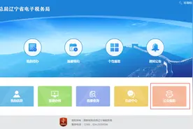 电子税务局功能上新之一般纳税人资格信息查询图片