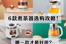 六款神仙煮茶器，哪一款才更好用图片