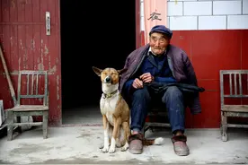 山洞捡“怪狗”，咬死2头野猪，和群狼搏斗，5万不卖，凭啥？图片