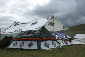 到西藏旅游：路边的白色帐不能进？当地人：进去想出来可就难了图片
