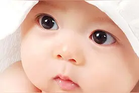 3个月宝宝早教图片
