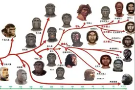 人属原本有17种，为何唯有智人笑傲江湖？其他人种是如何灭绝的？图片