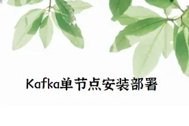 Kafka单个节点安装部署图片