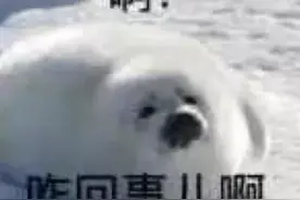 宝马被停在隔壁的保时捷撞出了50多个凹陷！对方不承认，可去鉴定车漆图片