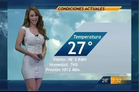 全时节最美女主播，都在天气预报里图片