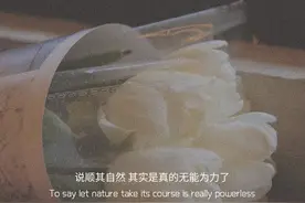 文案 | 说顺其自然 其实是真的无能为力了图片