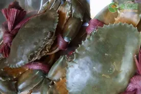 现在大闸蟹多少钱一斤？大闸蟹蒸熟了隔一夜可以吃吗？图片