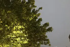 笨一点，慢一点，踏实一点图片