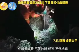 热搜！​咸阳这场对狗狗的救援，感动全网图片