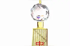 勇于担当作为，贡献央企力量——写在中建国际投资（湖南）有限公司成立五周年之际图片