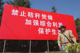2020秸秆焚烧解禁？安徽农村田间地头农民这么说！你怎么看图片