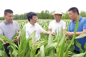 在新家“安居” 在老村“乐业”——滨海新区小王庄镇东湾河村驻村工作组帮扶侧记图片