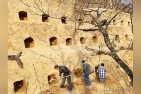 子午岭浩瀚原始森林中的养蜂人张雪峰图片